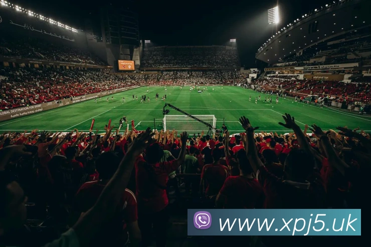 澳门新葡京官网APP 体育赛事宣传图